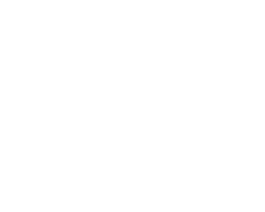 ATL LEAK PRO LOGO FINAL (white version)
