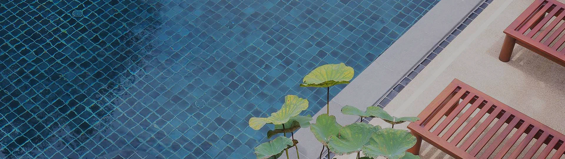 breadcrumb structural pool renovations