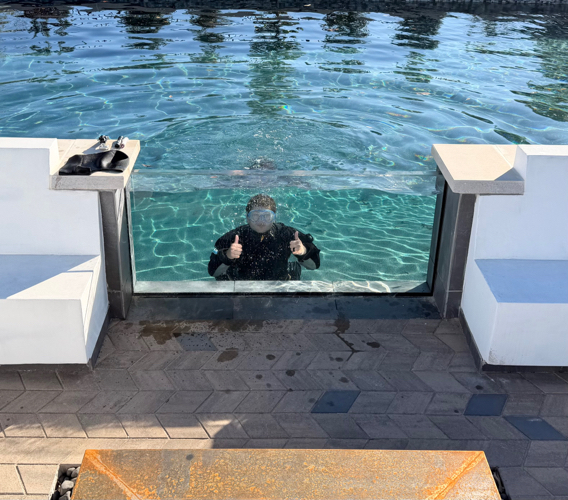 atlanta leak pros 2026 02 01T20 17 35.564805Z 13238